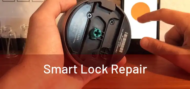  Smart Lock Repair 